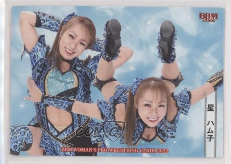 Wrestling Hamuko Hoshi 2022 Unknown 2022 Unknown