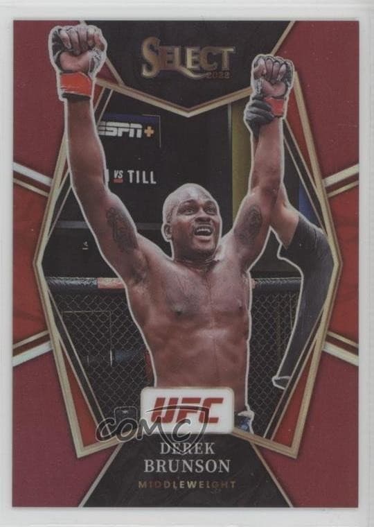 Premier Level Maroon 2022 Panini Select