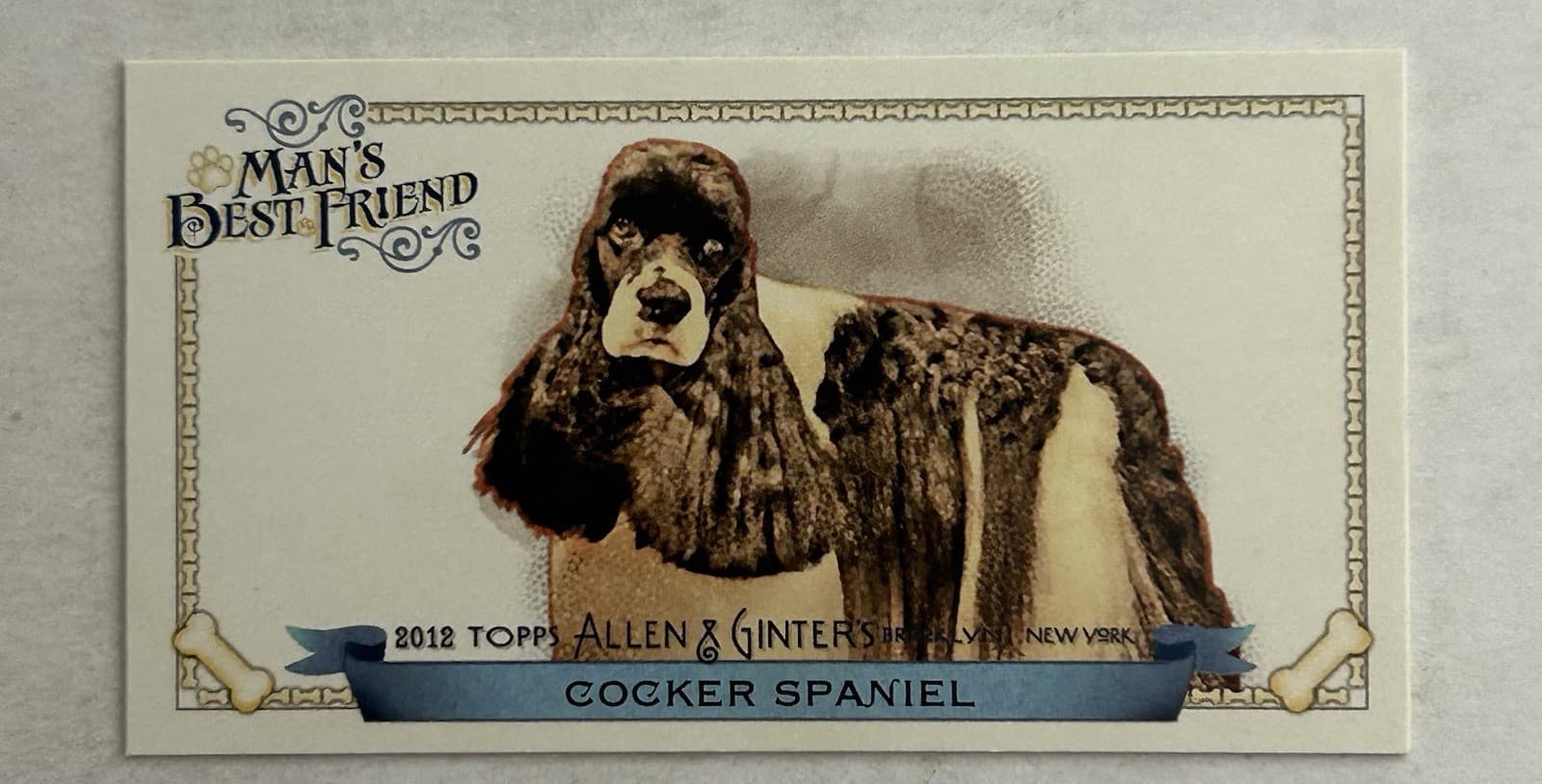 Mans Best Friend 2012 Topps 2012 Topps