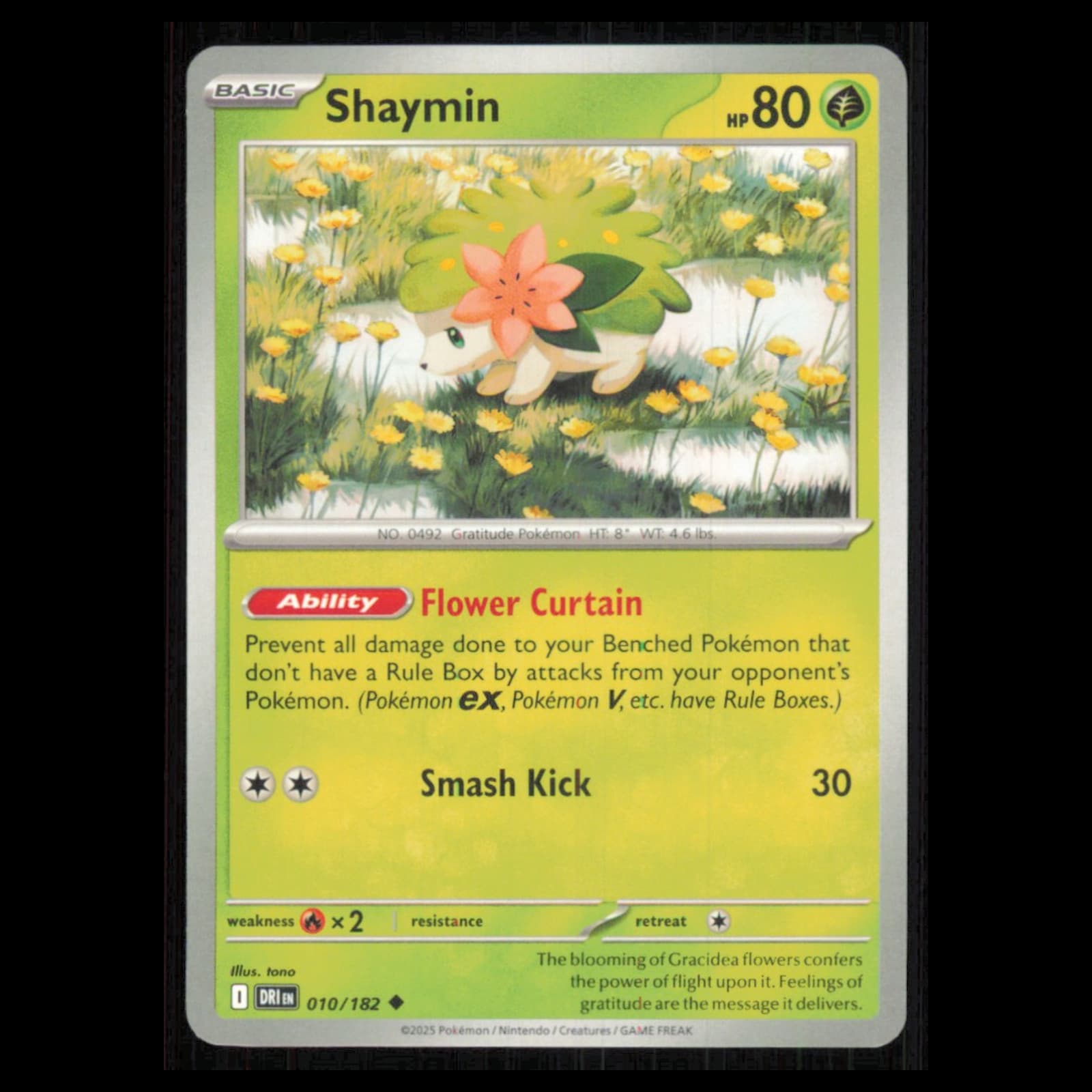 Shaymin Scarlet 2025 Unknown 2025 Unknown