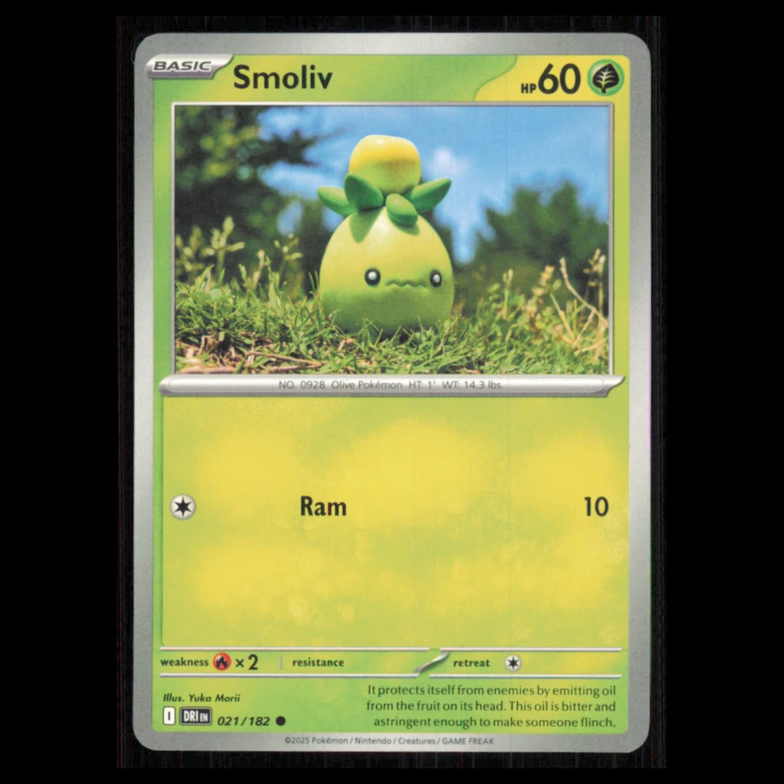 Smoliv Scarlet 2025 Unknown