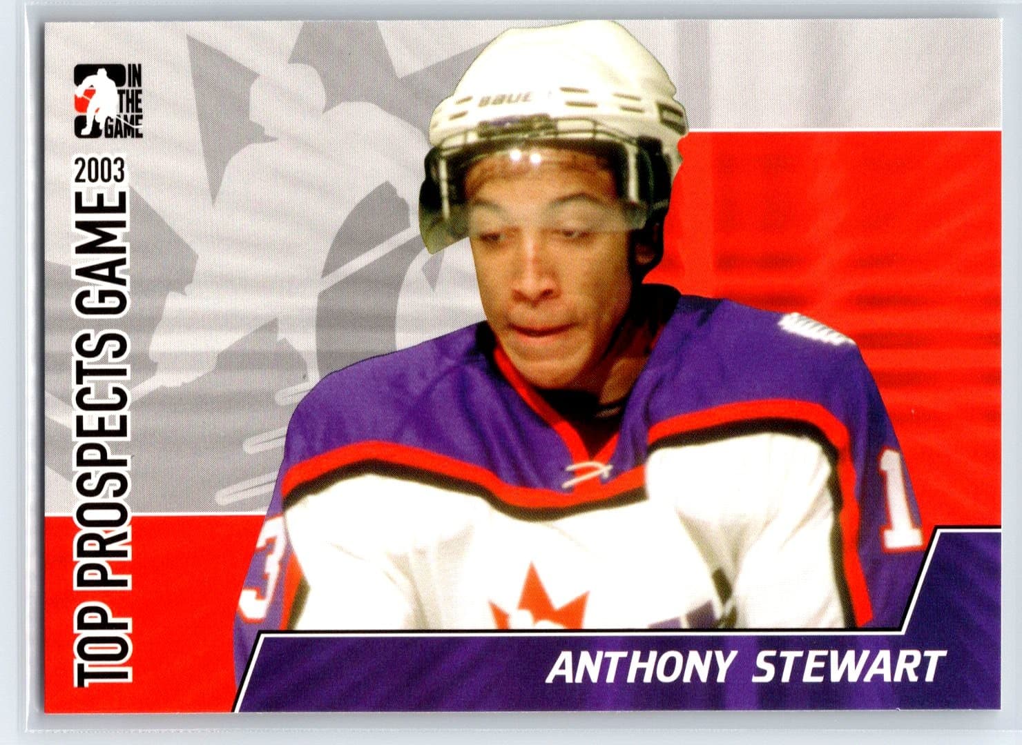 Prospects Anthony Stewart 2004 In The Game 2004 In The Game