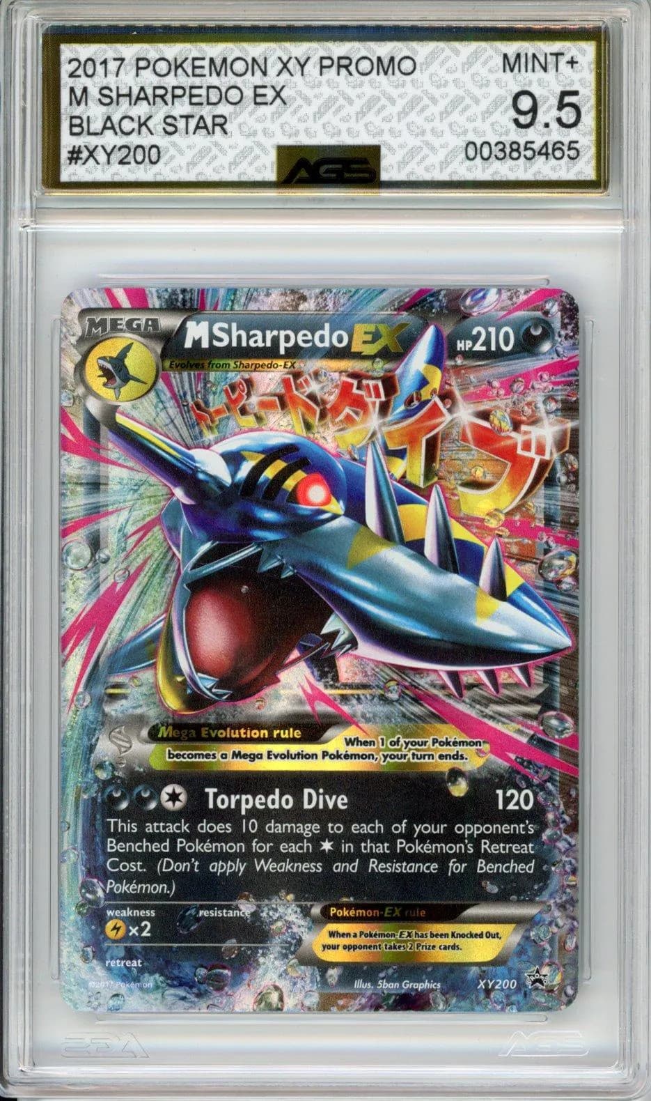 Pokemon XY Promos M Sharpedo E 2013 Unknown