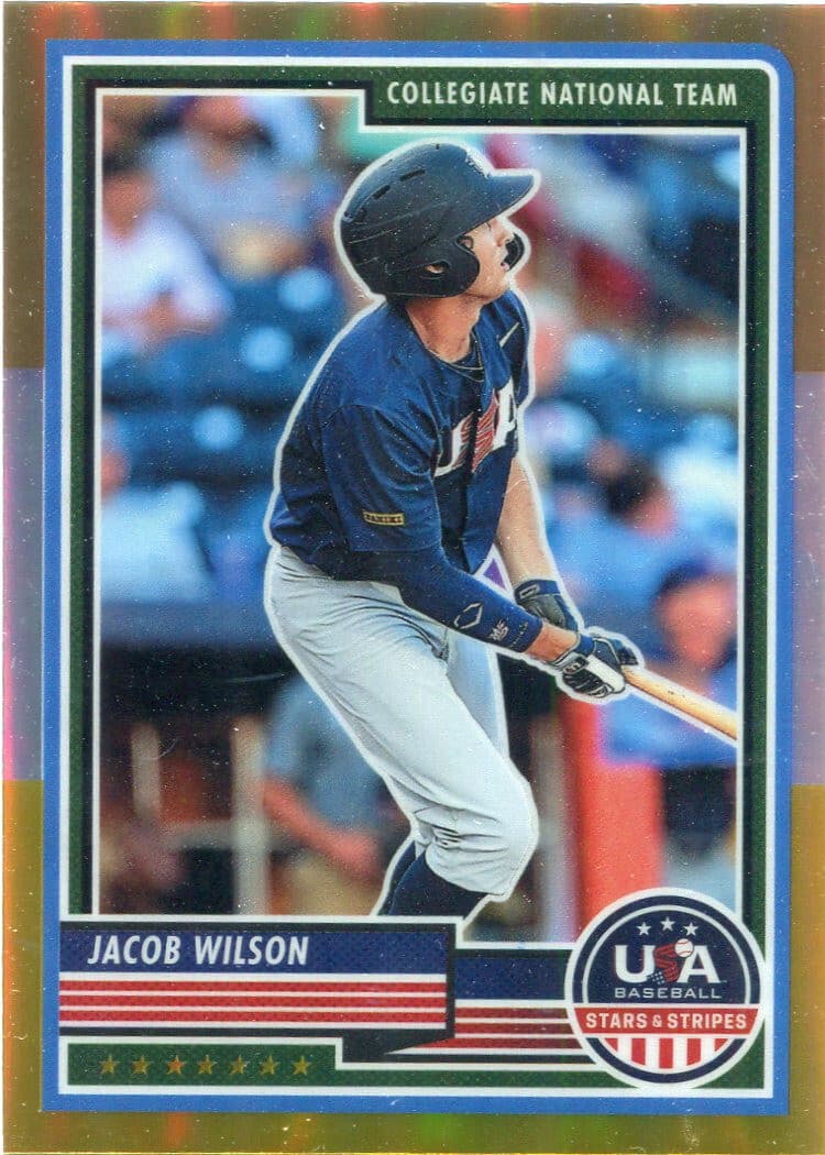 Stripes Gold 2023 Unknown 2023 Unknown gold-silver
