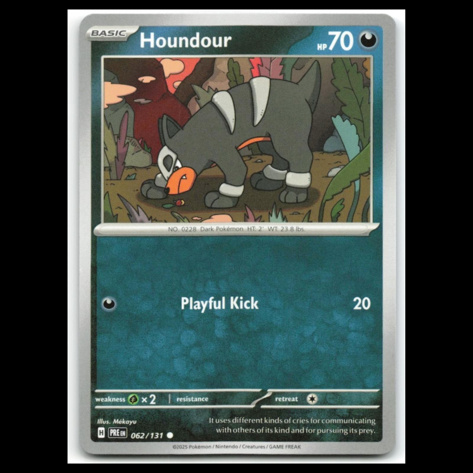 Houndour Scarlet 2025 Unknown 2025 Unknown