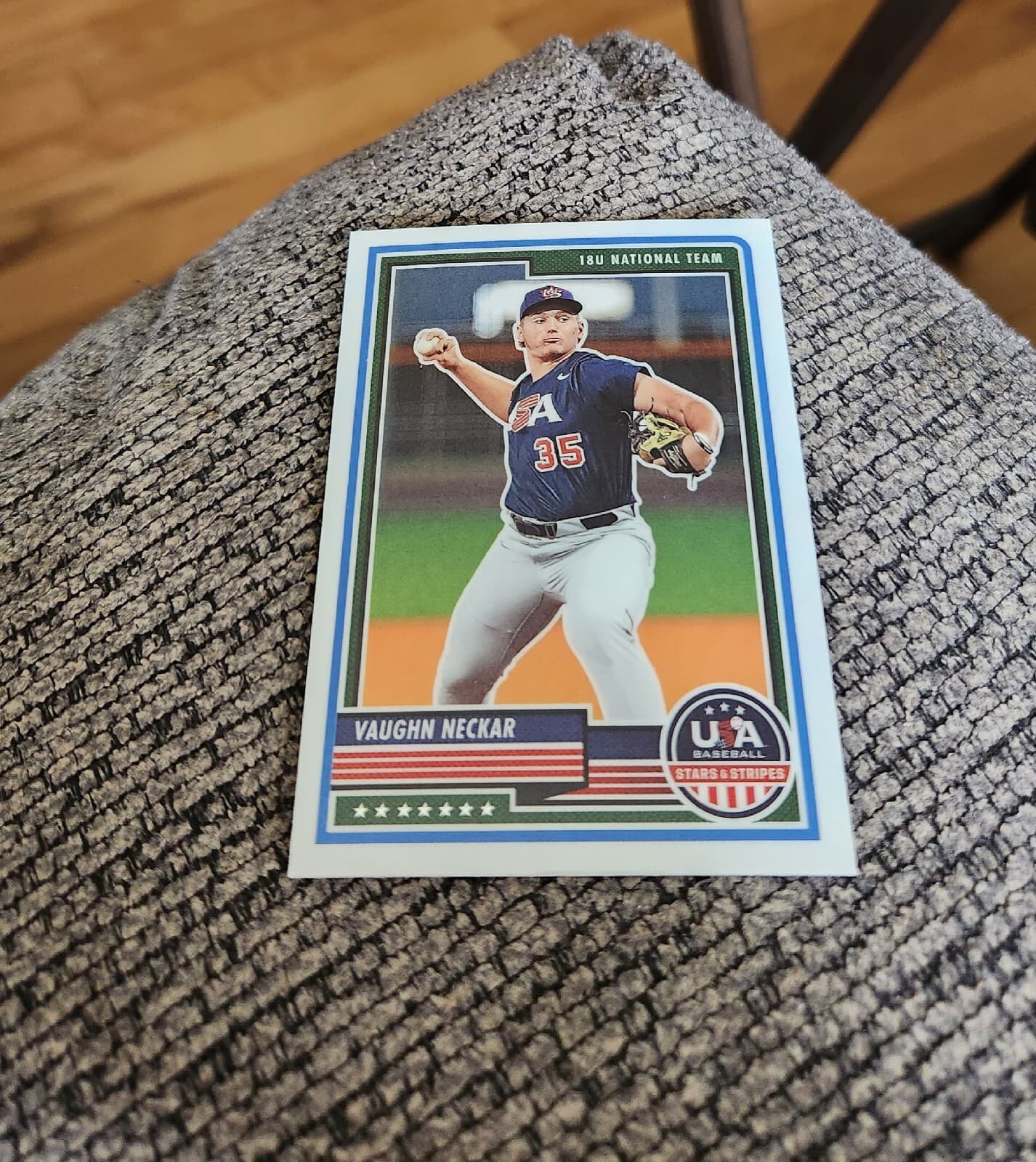Stars And Stripes 2023 Panini 2023 Panini