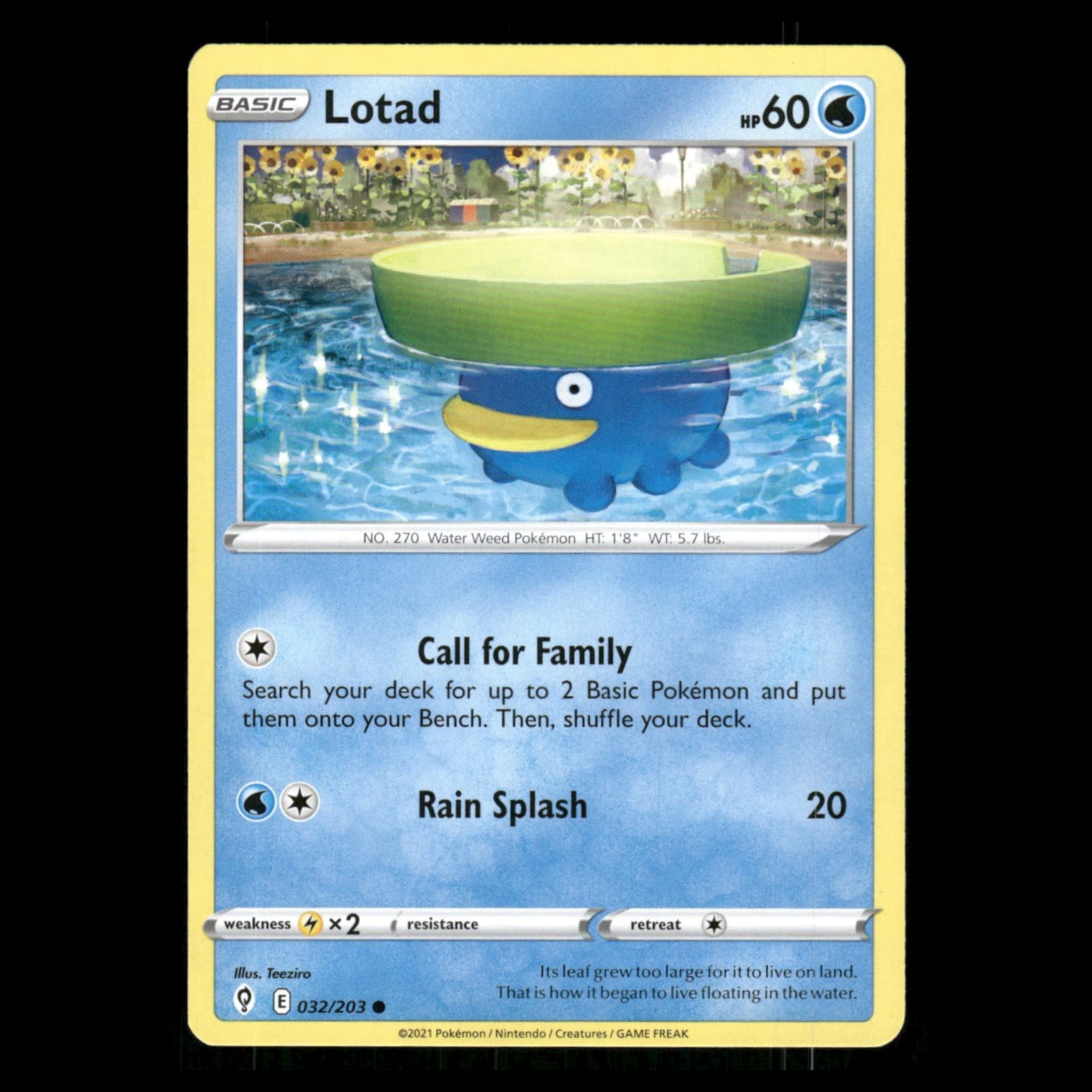 Lotad Sword 2021 Unknown