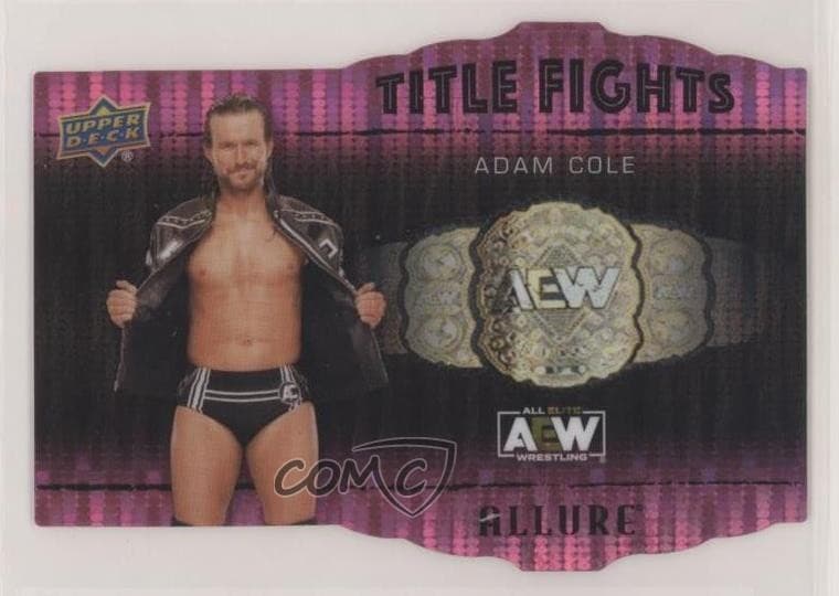 Title Fights Pink 2022 Upper Deck 2022 Upper Deck pink