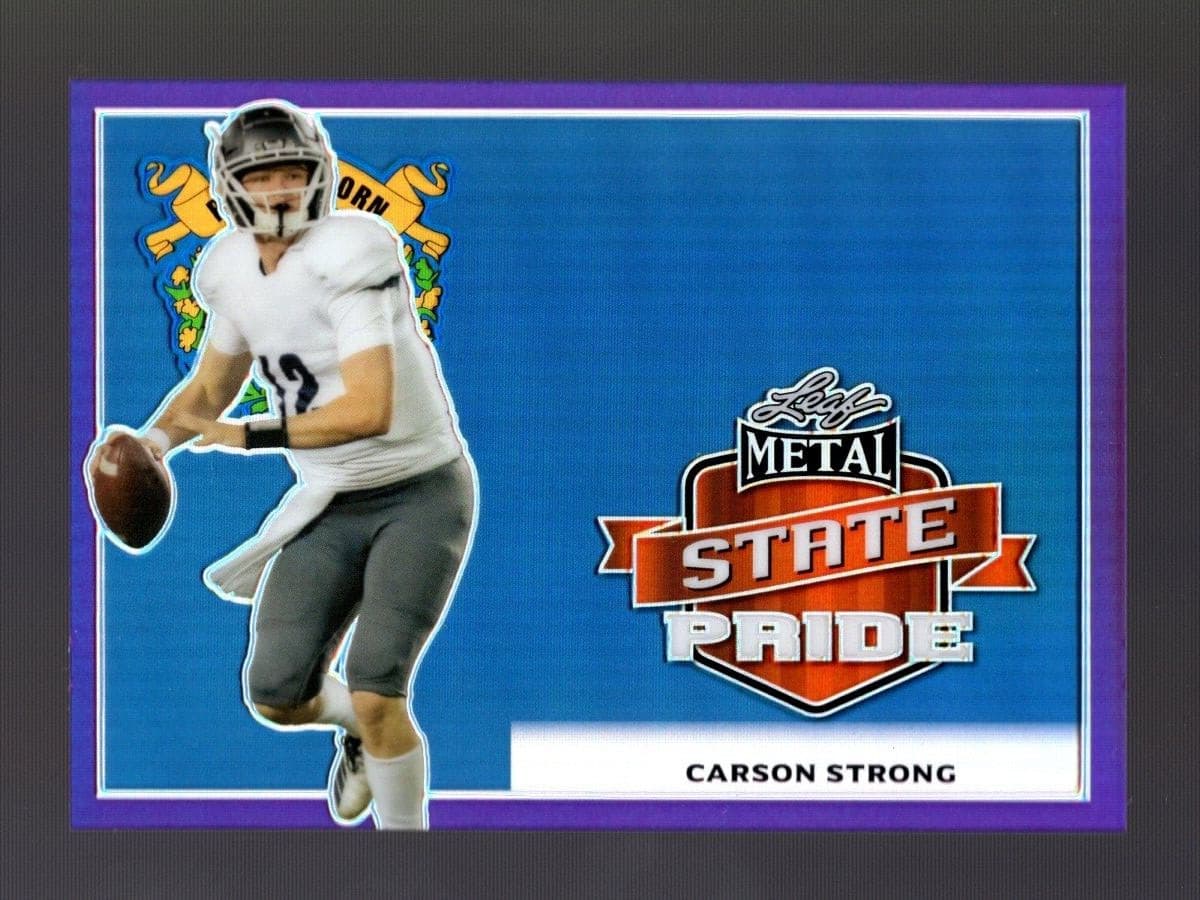 METAL DRAFT STATE PRIDE PURPLE 2022 Leaf 2022 Leaf