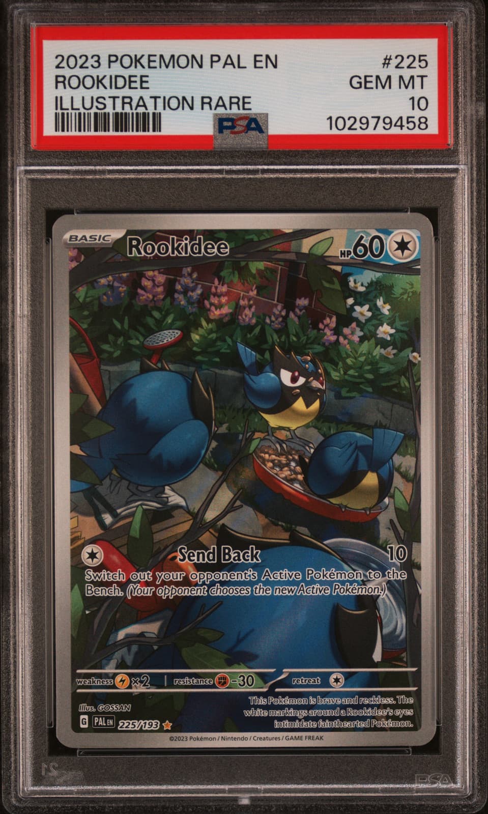 Rookidee trading card
