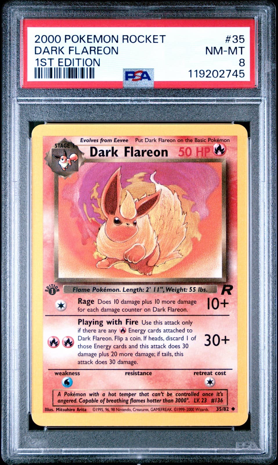 Dark Flareon 2000 Team