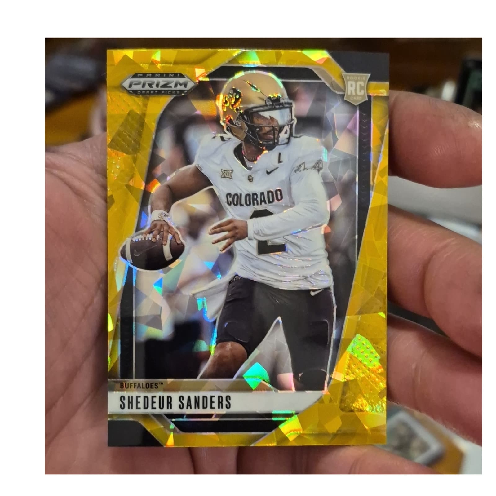Sean Taylor trading card