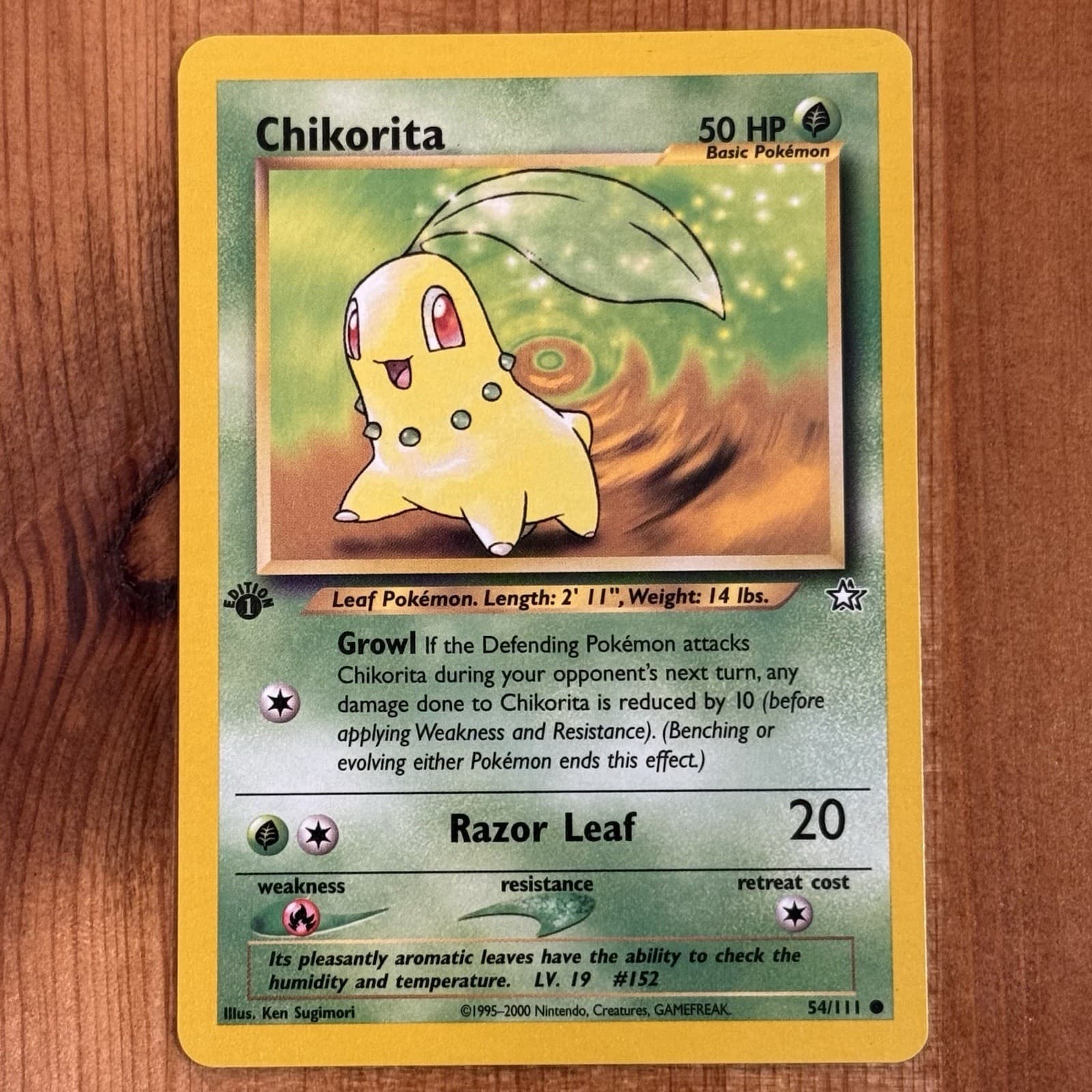 Chikorita 2000 Pokemon
